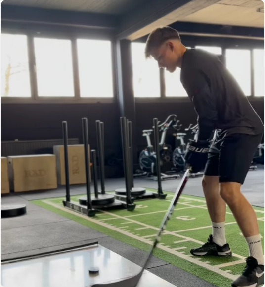 Premium Indoor Putting & Hockey Skill Training System