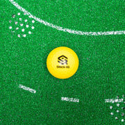 Premium Indoor Putting & Hockey Skill Training System